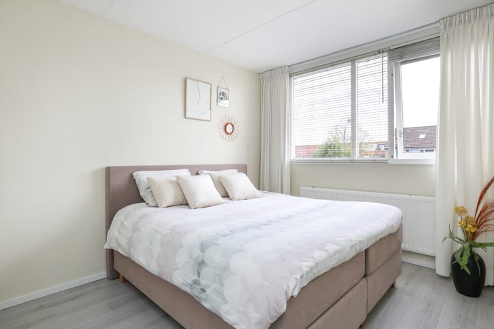 Foto 12 van Lijster 10