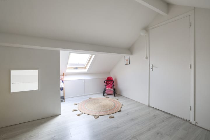 Foto 18 van Lijster 10