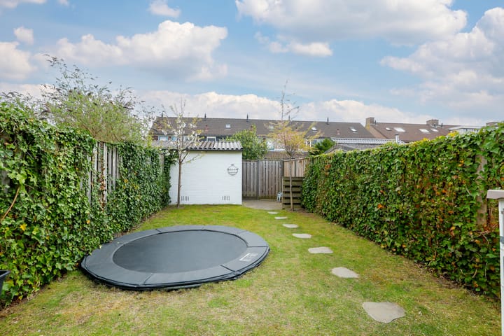 Foto 21 van Lijster 10