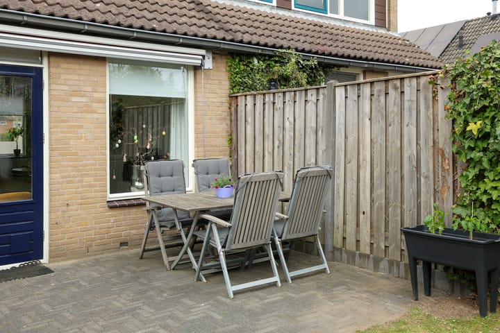 Foto 23 van Lijster 10