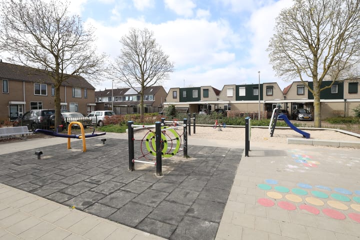 Foto 24 van Lijster 10