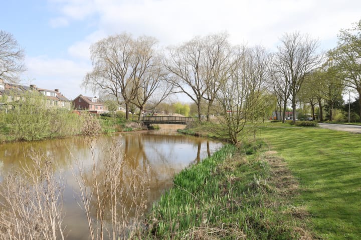 Foto 25 van Lijster 10