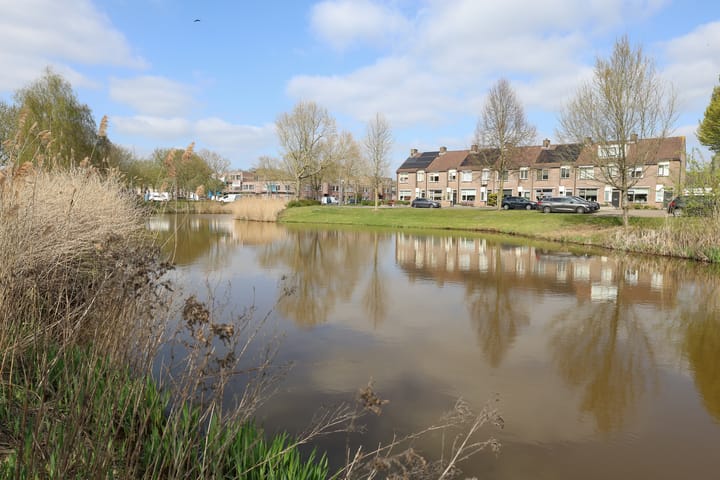 Foto 26 van Lijster 10