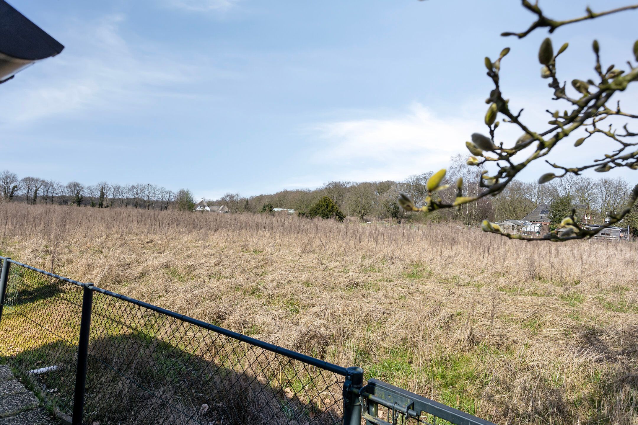 Foto 18 van Mosterdweg 3