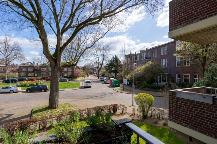 Foto 6 van Sumatraplein 52