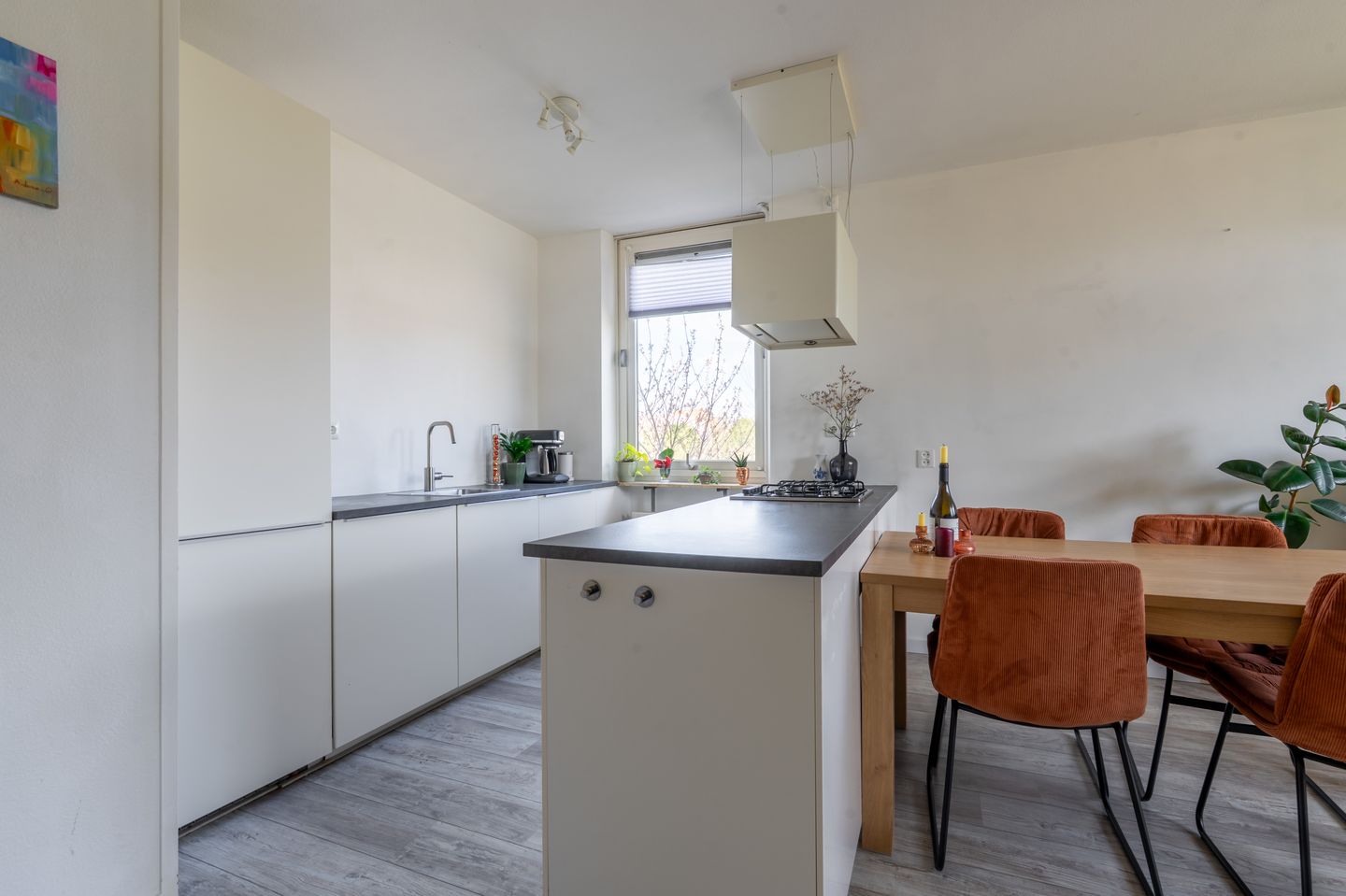 Foto 10 van Sumatraplein 52