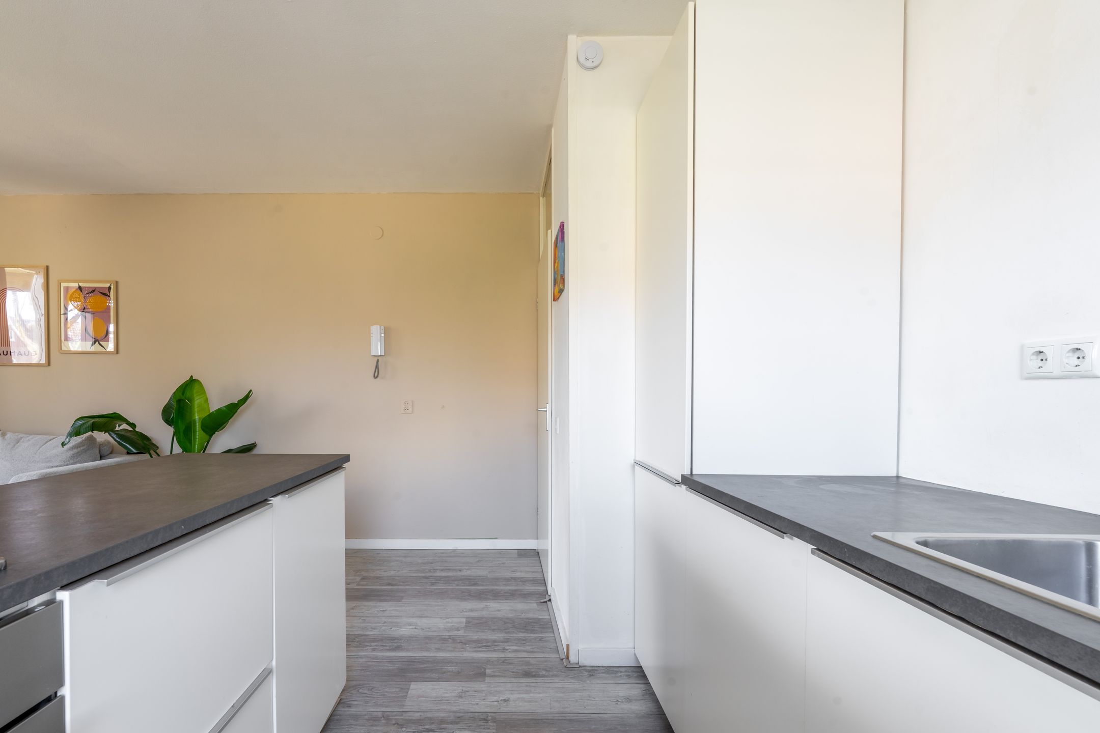 Foto 12 van Sumatraplein 52