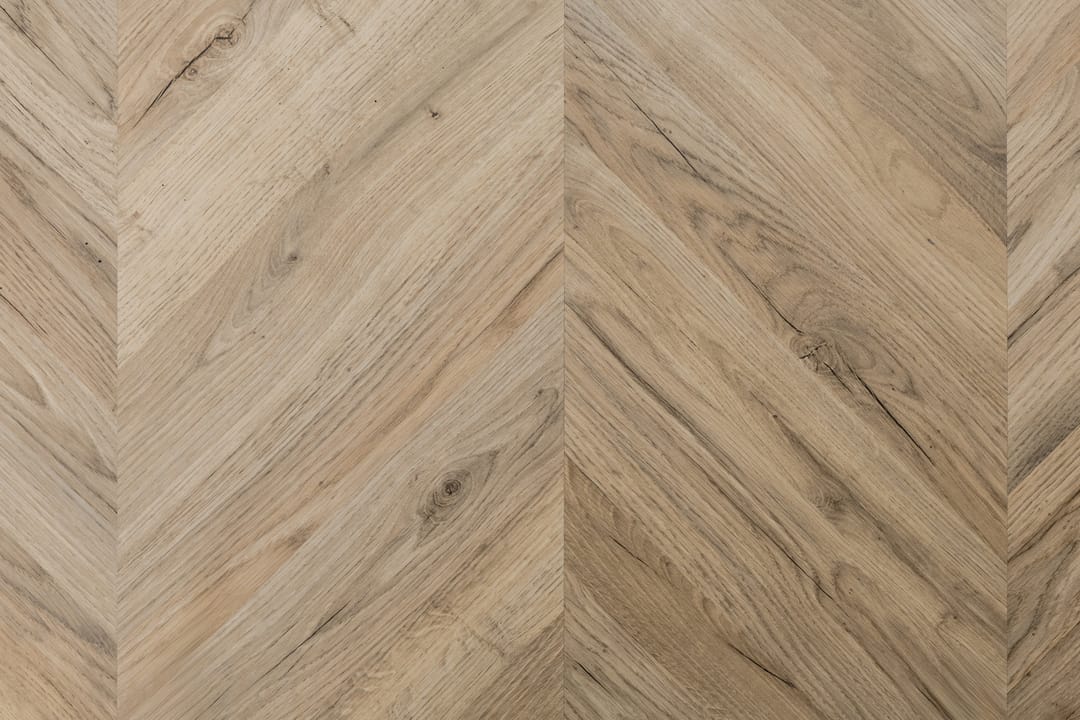 Photo 16 of Koggenland 14