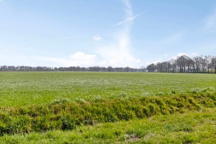 Foto 44 van Boterveen 6