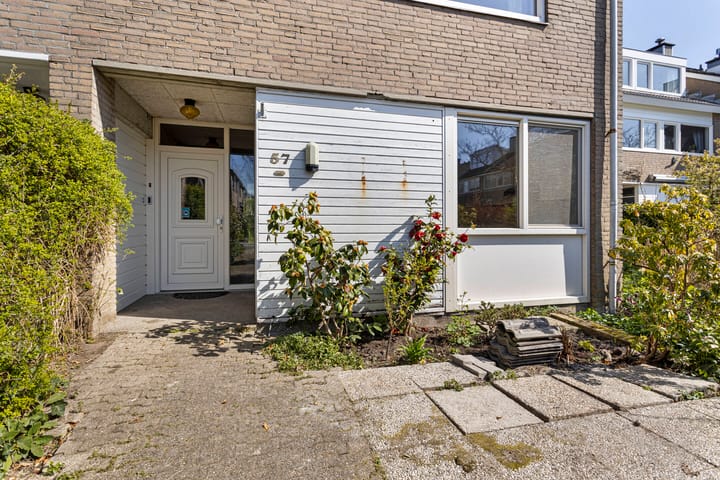 Foto 5 van Heivlinder 57