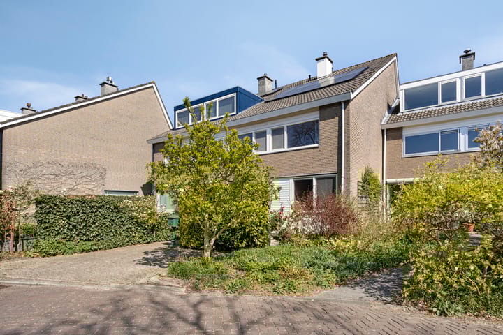 Foto 38 van Heivlinder 57