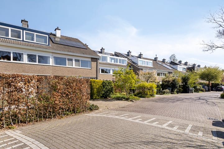 Foto 39 van Heivlinder 57