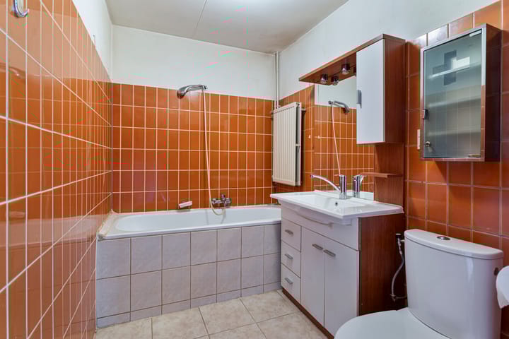 Foto 22 van Heivlinder 57