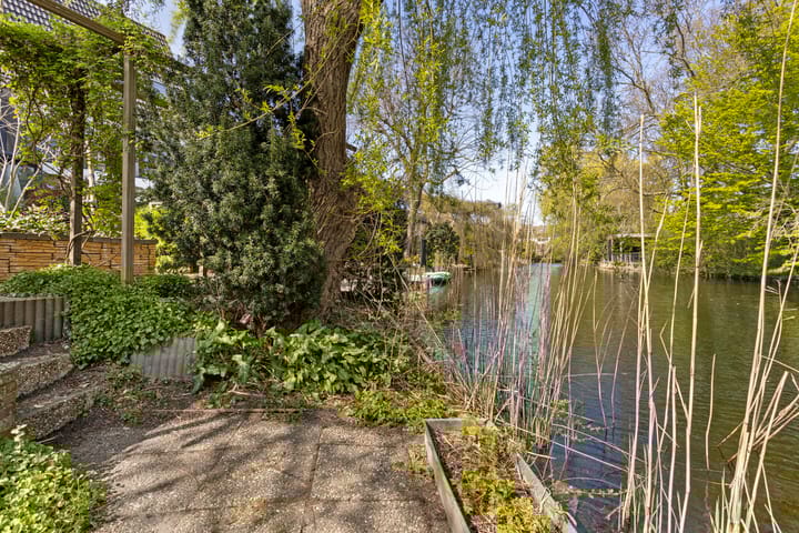 Foto 4 van Heivlinder 57