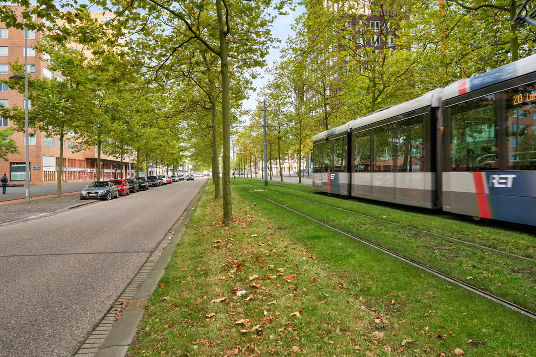 Foto 43 van Albertina Sisulupad 214