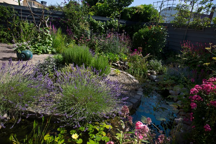 Foto 51 van Torenmolenlaan 81