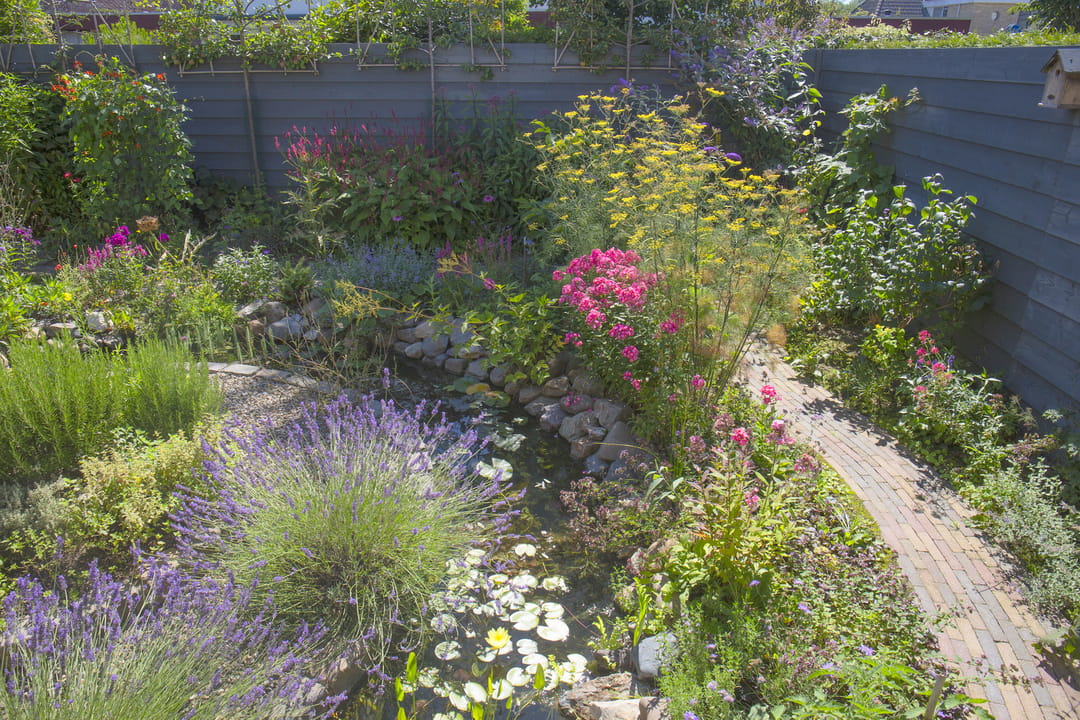 Foto 52 van Torenmolenlaan 81