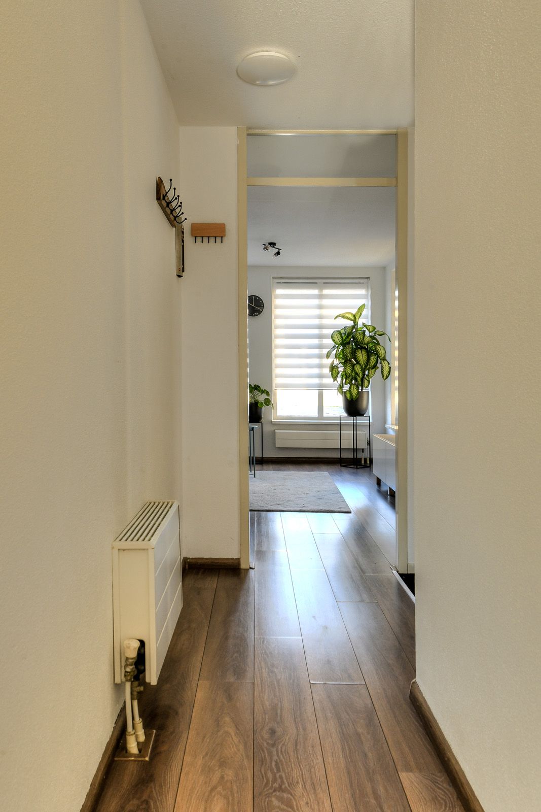 Photo 11 of Kangoeroestraat 81