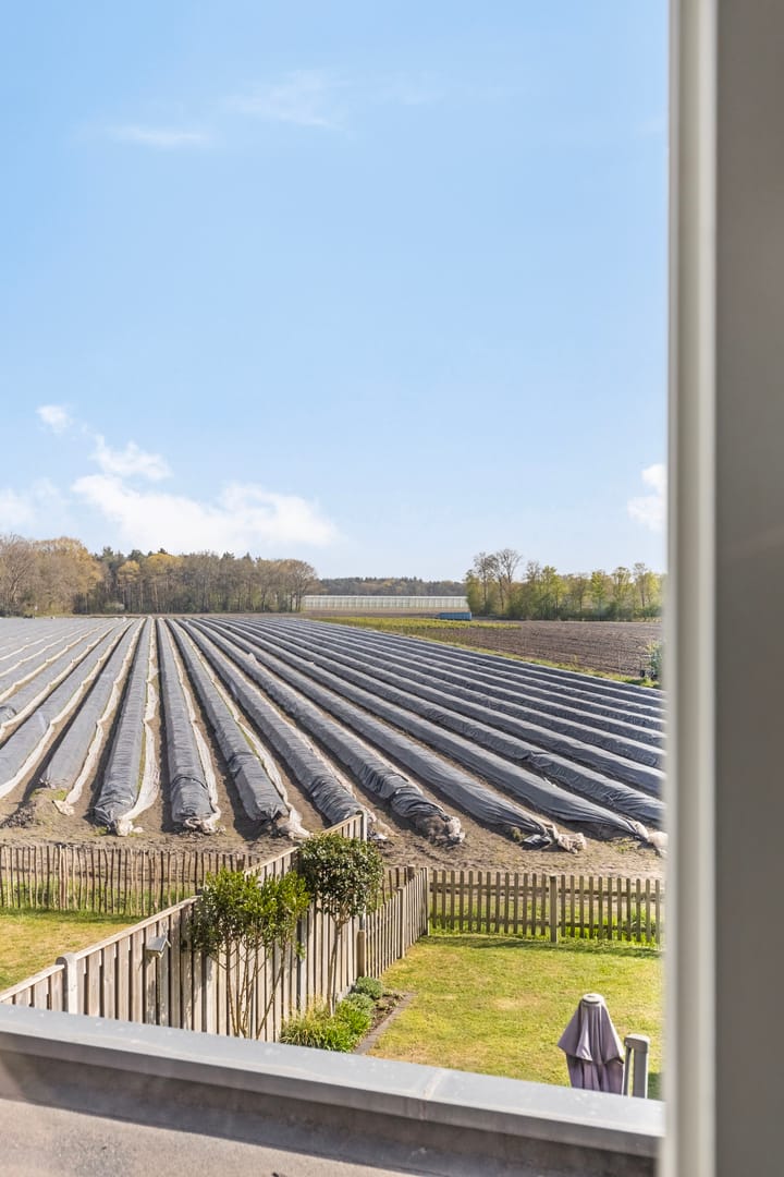 Foto 23 van Kaarsenmaker 44