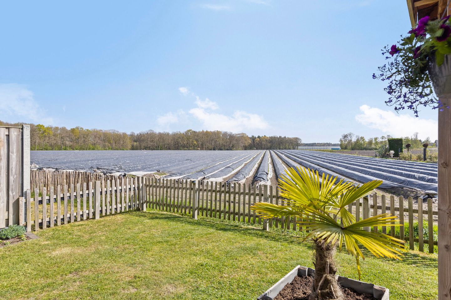 Foto 35 van Kaarsenmaker 44