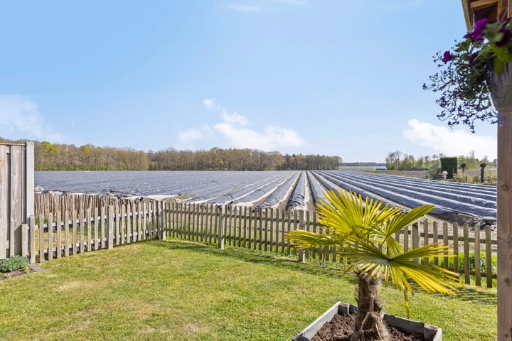 Foto 35 van Kaarsenmaker 44