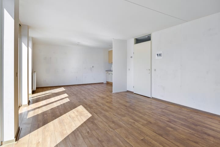 Foto 10 van Proefsteen 11