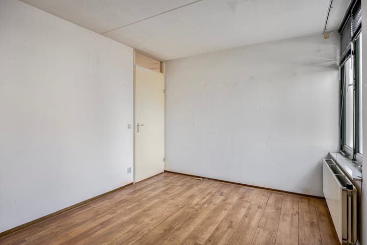 Foto 22 van Proefsteen 11