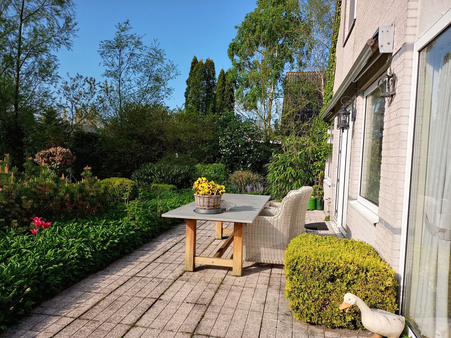 Foto 25 van Droge Wijmersweg 5-081