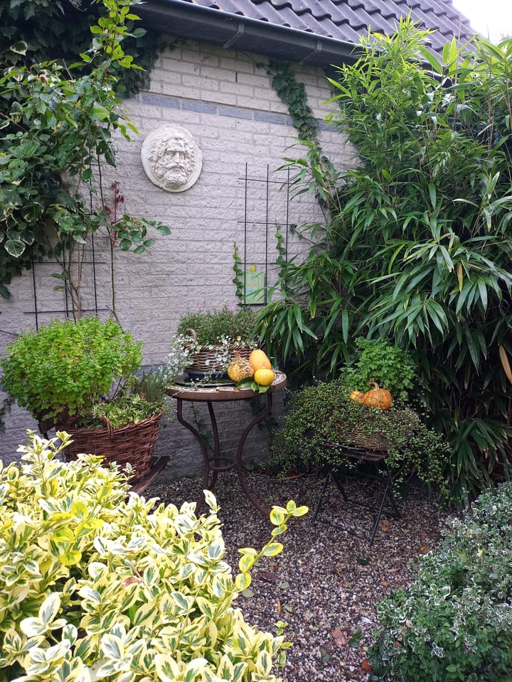 Foto 27 van Droge Wijmersweg 5-081