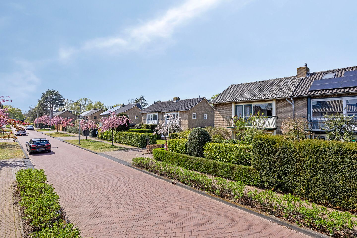 Foto 25 van Graafland 19