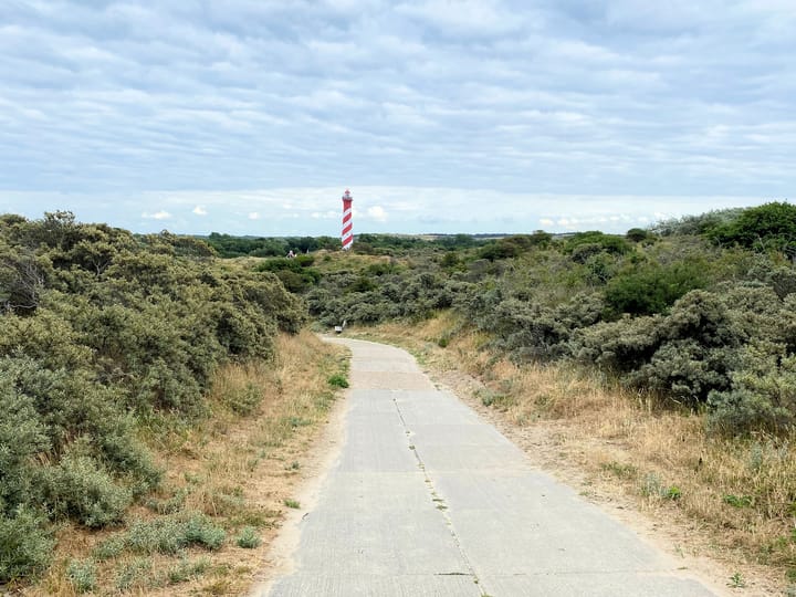 Foto 50 van Korenbloemlaan 6