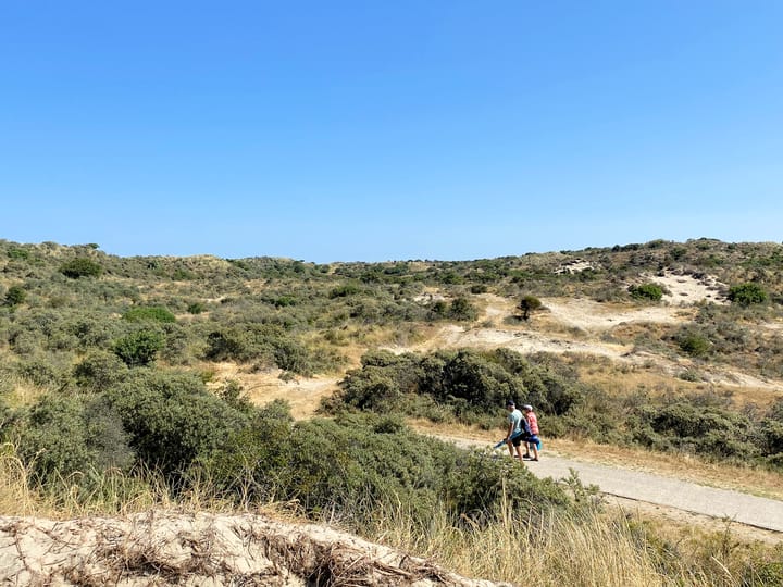 Foto 51 van Korenbloemlaan 6