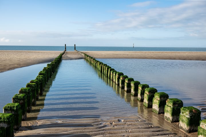 Foto 54 van Korenbloemlaan 6