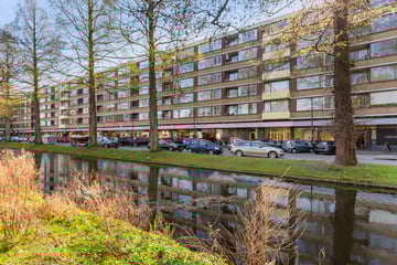Streksingel thumbnail