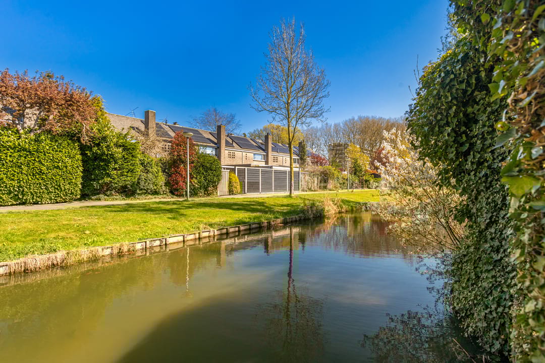 Foto 11 van De Vroedschap 64