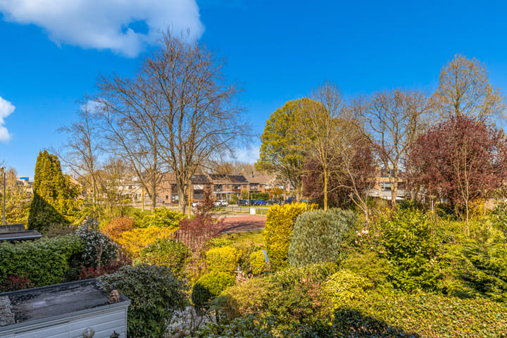 Photo 44 of De Vroedschap 64