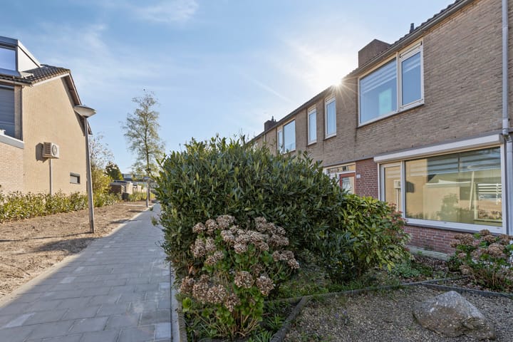 Foto 7 van Beiaard 212