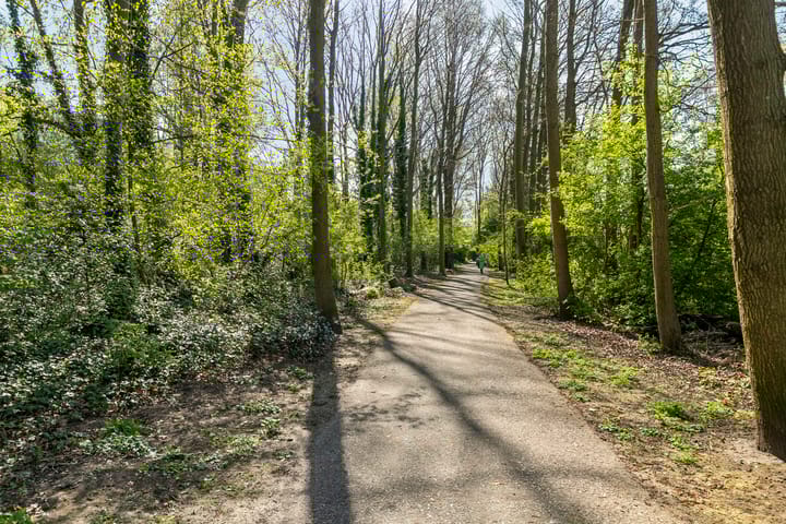 Foto 37 van Hoofdweg 170