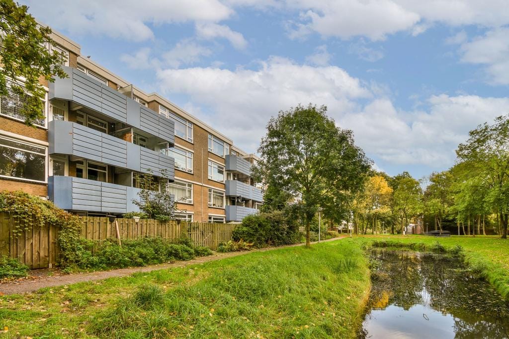 Photo 35 of Midscheeps 15