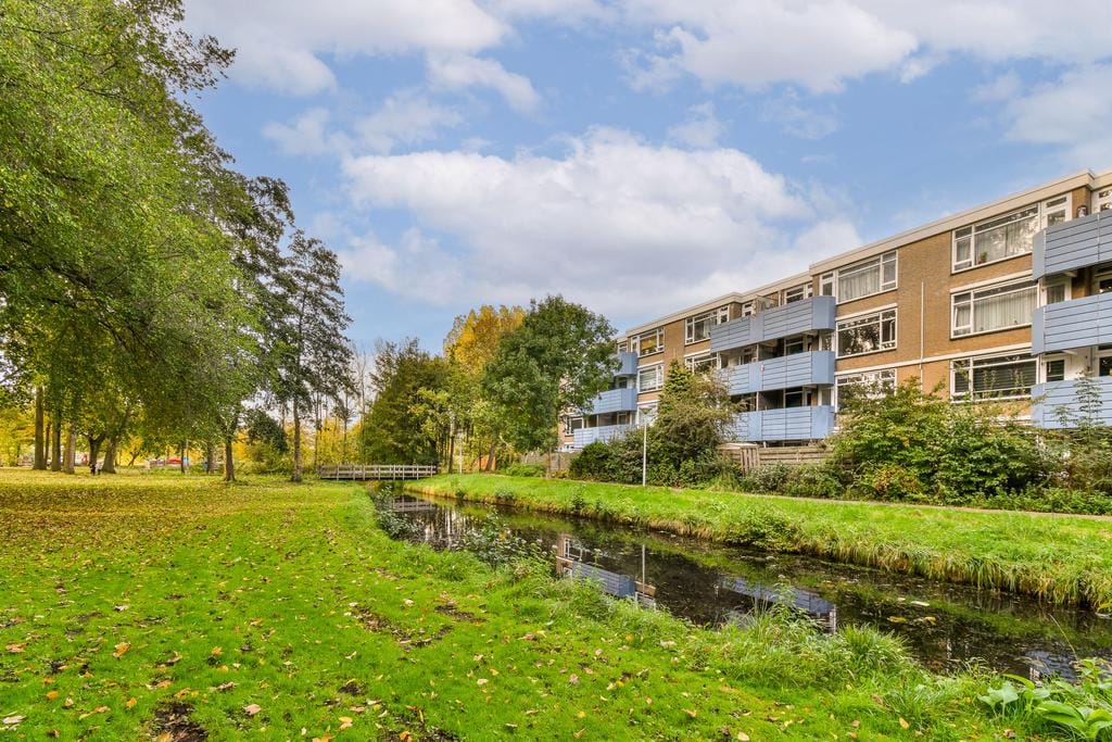 Photo 36 of Midscheeps 15