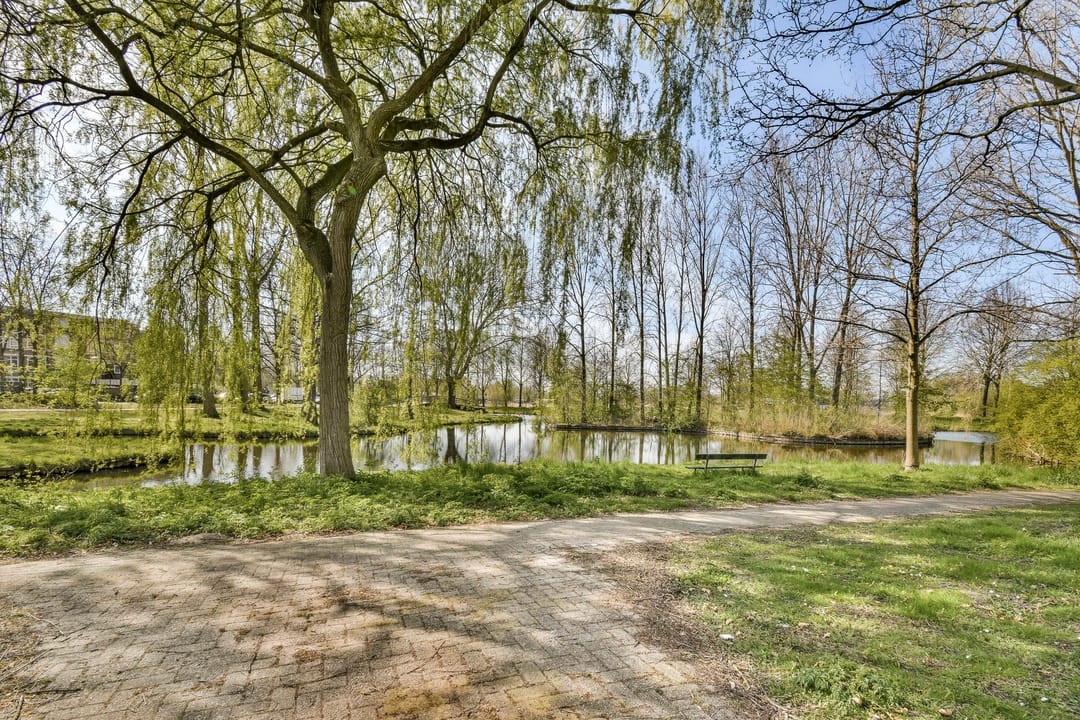 Photo 37 of Midscheeps 15