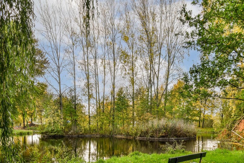 Photo 38 of Midscheeps 15