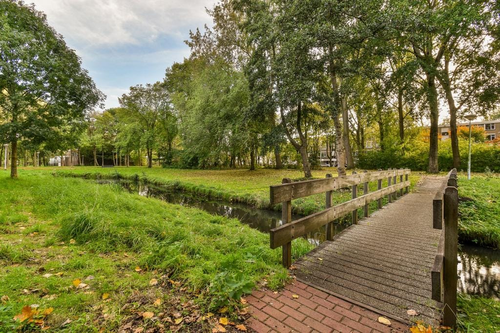 Photo 39 of Midscheeps 15