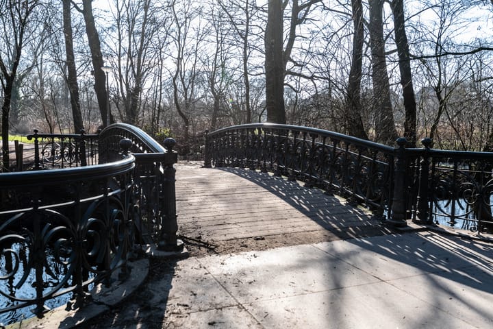 Photo 68 of Eerste Constantijn Huygensstraat 50-H