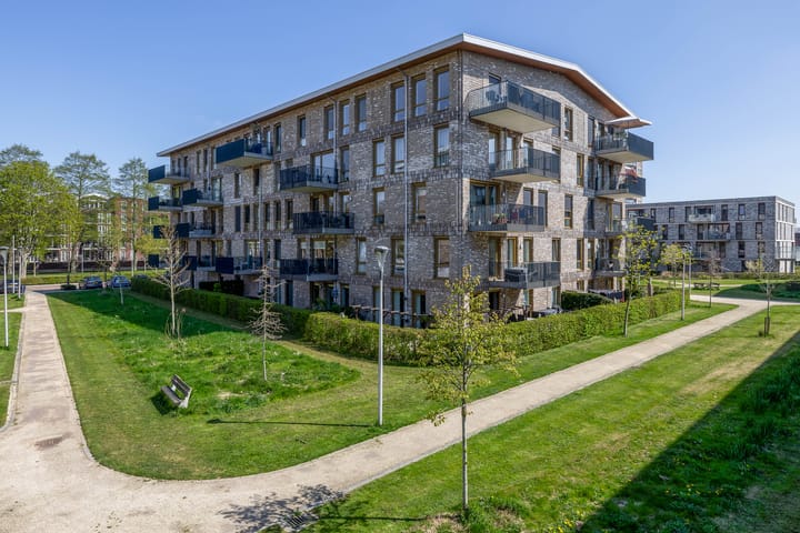 Foto 8 van Oranjesingel 101