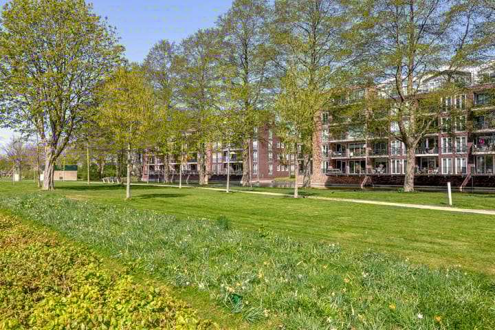 Foto 10 van Oranjesingel 101