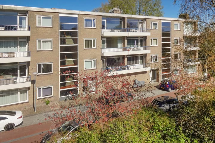 Foto 4 van Lievenshof 11