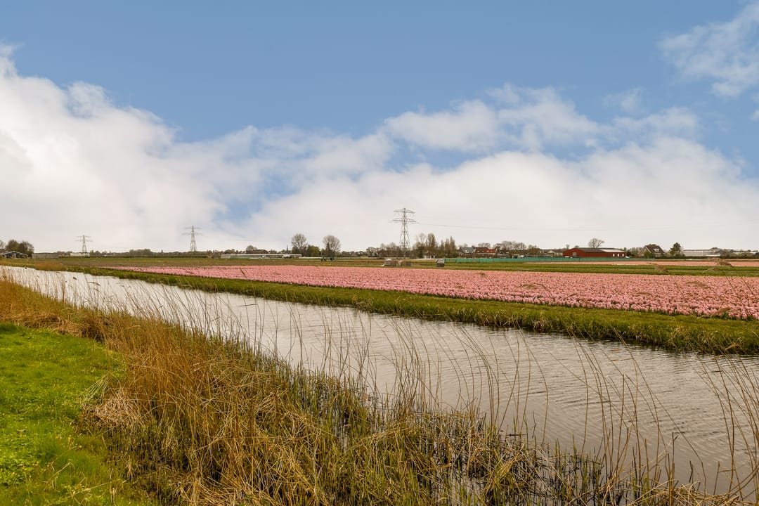 Foto 23 van Frankenhorst 5