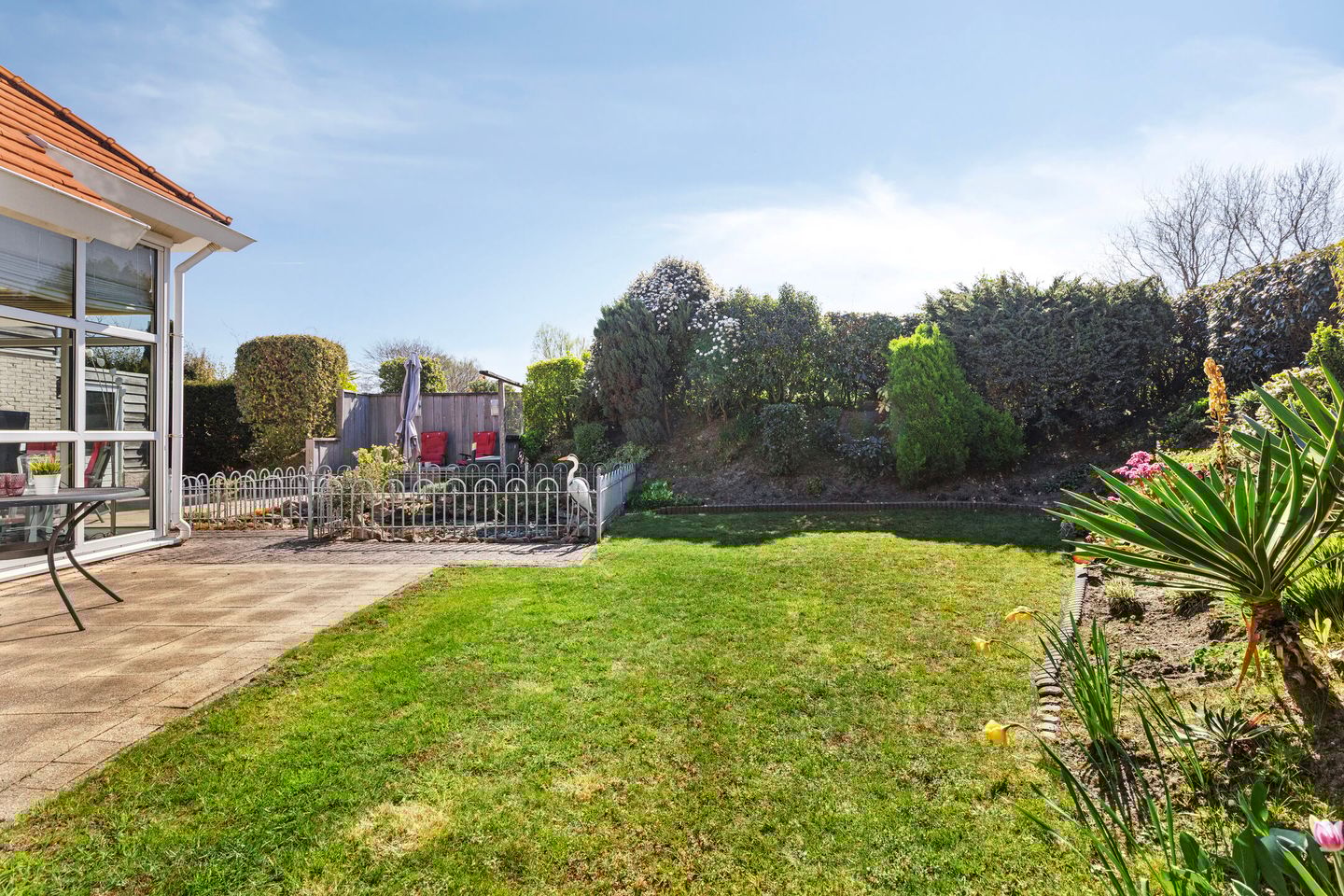 Foto 29 van Stormvogel 24