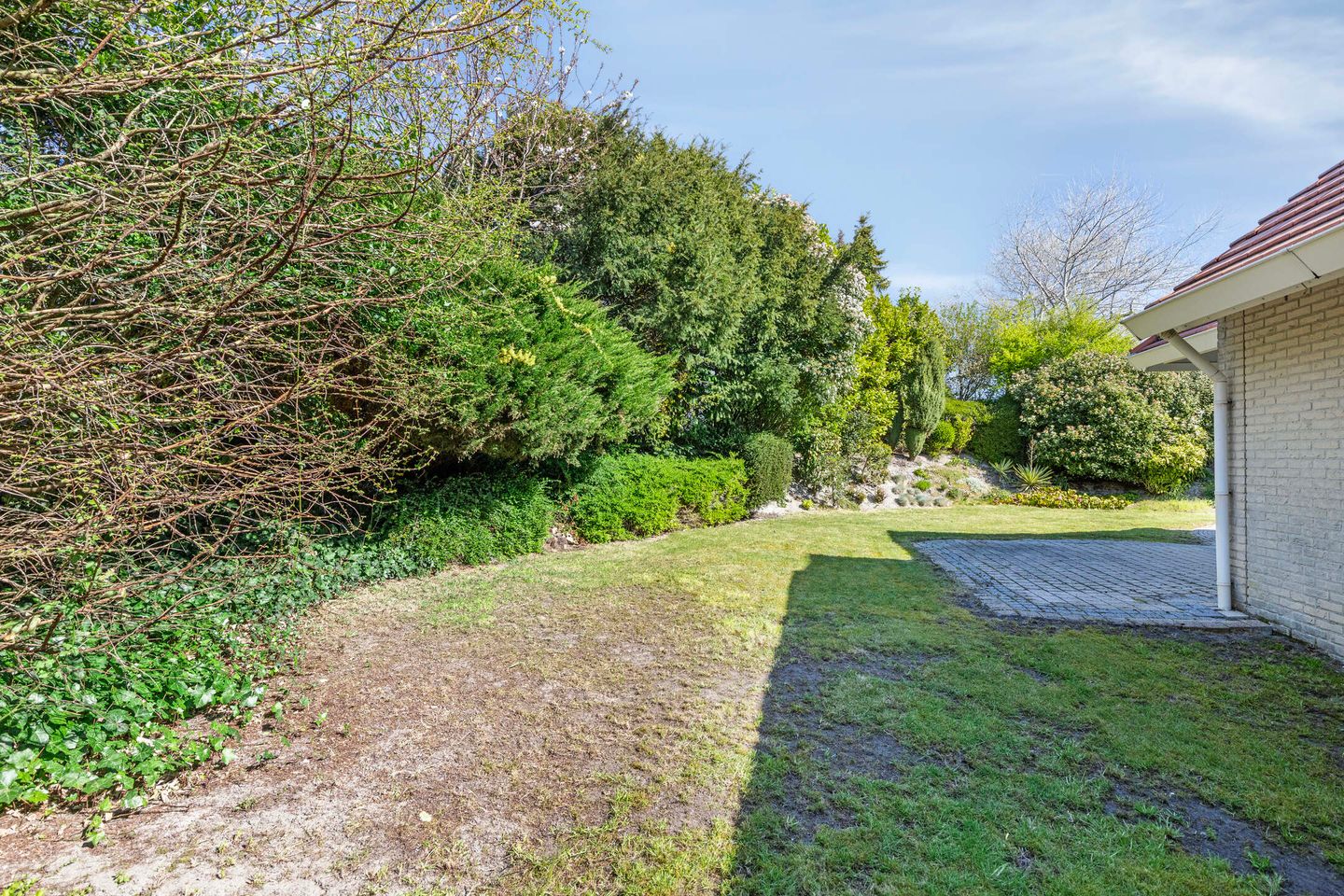 Foto 34 van Stormvogel 24